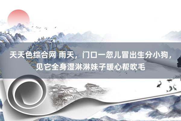 天天色综合网 雨天，门口一忽儿冒出生分小狗，见它全身湿淋淋妹子暖心帮吹毛