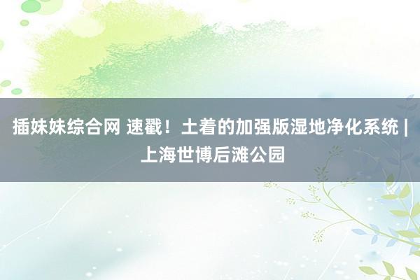 插妹妹综合网 速戳！土着的加强版湿地净化系统 | 上海世博后滩公园
