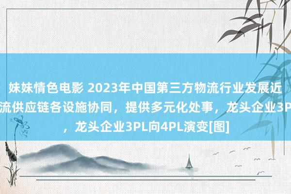 妹妹情色电影 2023年中国第三方物流行业发展近况分析：加强物流供应链各设施协同，提供多元化处事，龙头企业3PL向4PL演变[图]