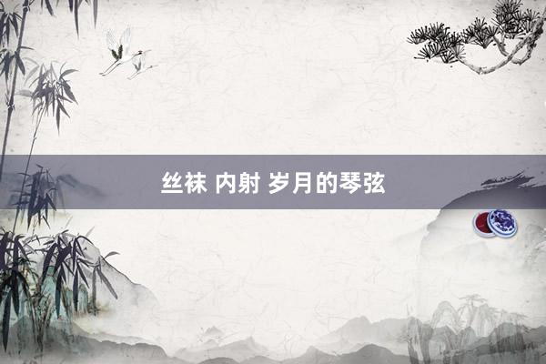 丝袜 内射 岁月的琴弦