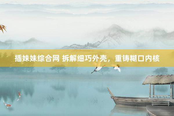插妹妹综合网 拆解细巧外壳，重铸糊口内核